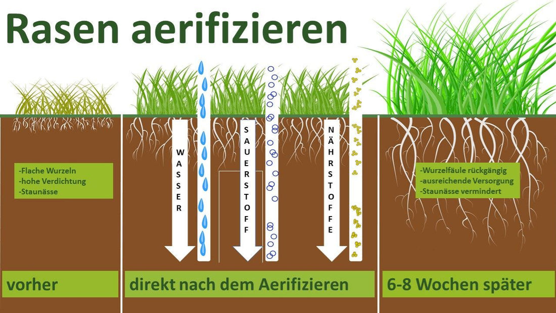 Diagramm zur Bodenbelüftung beim Rasen aerifizieren – Wirkung auf Wasser, Luft und Nährstoffzufuhr